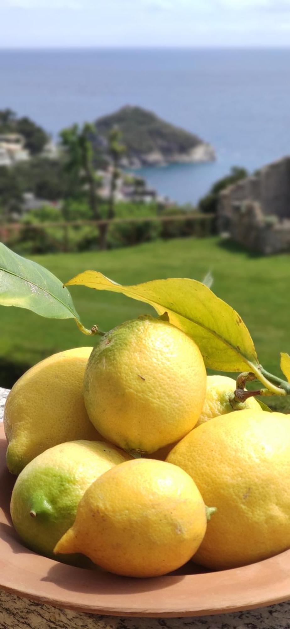 Il Giardino Sull'Isola - Appartamento - Берджеджи Экстерьер фото