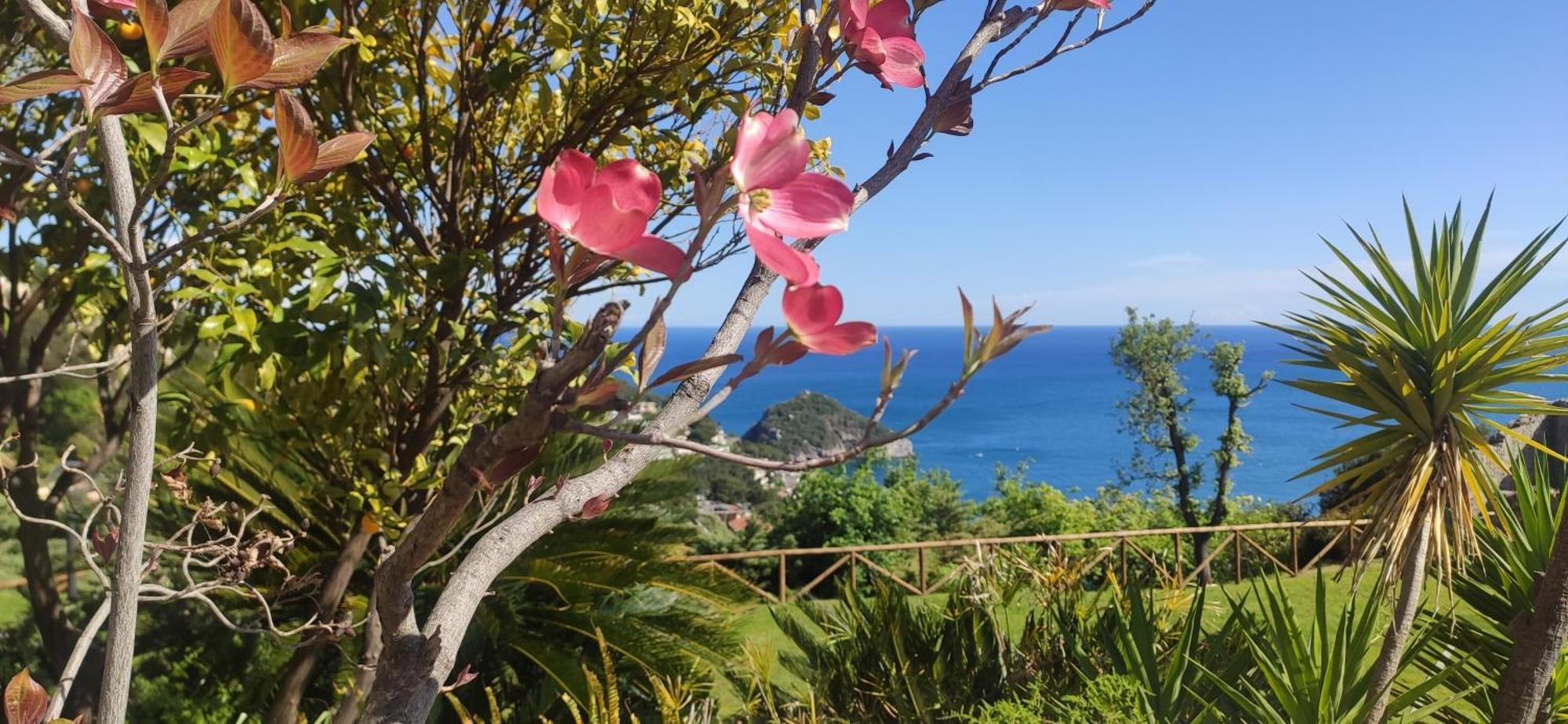 Il Giardino Sull'Isola - Appartamento - Берджеджи Экстерьер фото