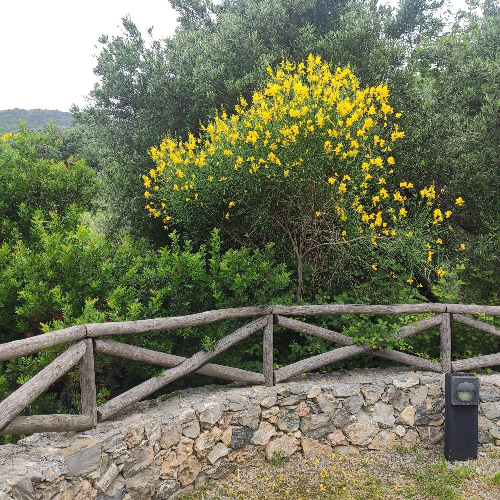 Il Giardino Sull'Isola - Appartamento - Берджеджи Экстерьер фото